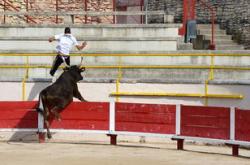 莎拉波娃关键节点回归赛场，公牛带队取胜！