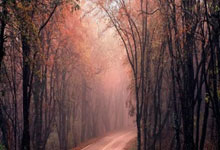 切尔西抢先晋级，欧冠八强已在视野